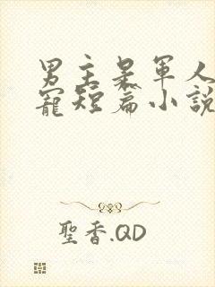 男主是军人的甜宠短篇小说