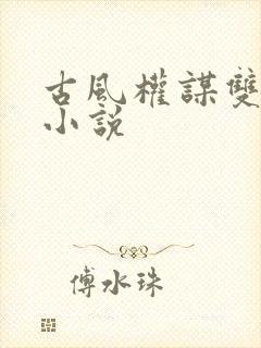 古风权谋双男主小说