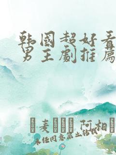 韩国超好看的双男主剧推荐