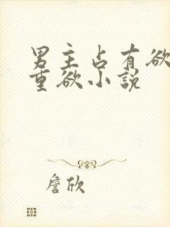 男主占有欲强且重欲小说