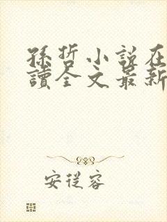 孙哲小说在线阅读全文最新