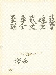 至尊武魂苏莫小说全文免费阅读