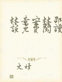 林意安林邵民小说免费阅读最新章节