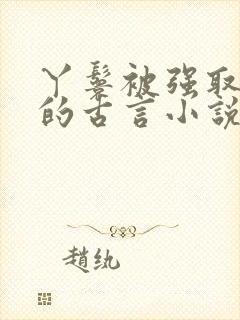 丫鬟被强取豪夺的古言小说