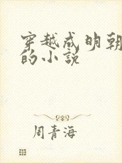 穿越成明朝皇帝的小说