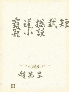 霸道总裁短篇甜宠小说