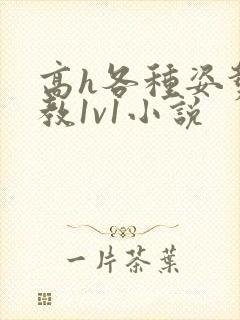 高h各种姿势调教1v1小说