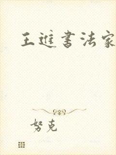 王进书法家简介