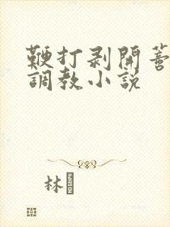 鞭打剥开蒂电击调教小说