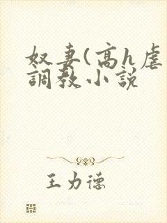 奴妻(高h虐身调教小说