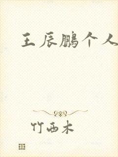 王辰鹏个人简介