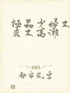 极品少妇又色又爽又高潮