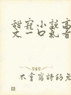 甜宠小说高宠甜文一口气看完