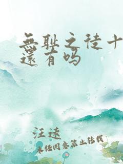 无耻之徒十二季还有吗