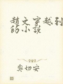 赵文穿越到明朝的小说