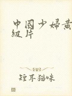 中国少妇黄色一级片