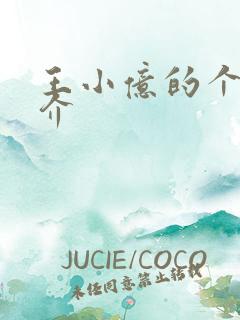 王小亿的个人简介