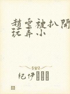 赵云被扒开双腿玩弄小