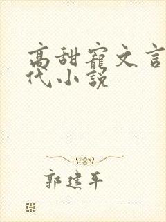 高甜宠文言情现代小说