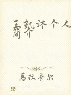 王凯沐个人资料简介