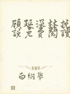 顾延深林挽音小说免费阅读最新章节