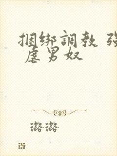 捆绑调教 强制 虐男奴