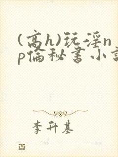 (高h)玩淫np伦秘书小说