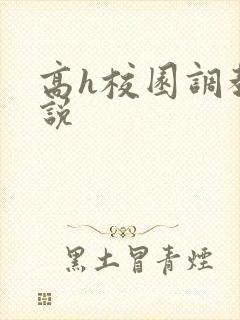 高h校园调教小说