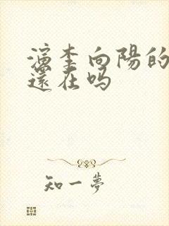 演李向阳的演员还在吗