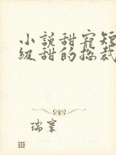 小说甜宠短篇超级甜的总裁文