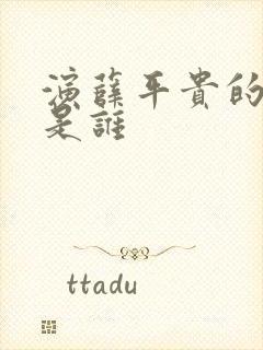 演薛平贵的演员是谁