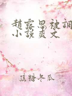 赵露思被调教h小说爽文