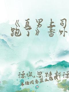 《直男上司带球跑了》番外免费阅读