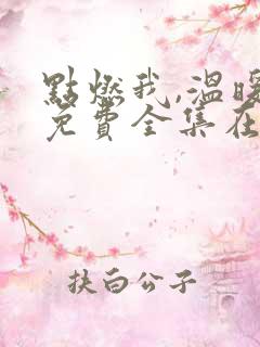 点燃我,温暖你免费全集在线观看