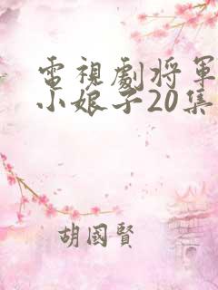 电视剧将军家的小娘子20集至40集