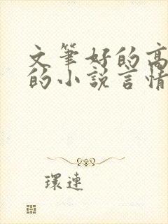 文笔好的高质量的小说言情