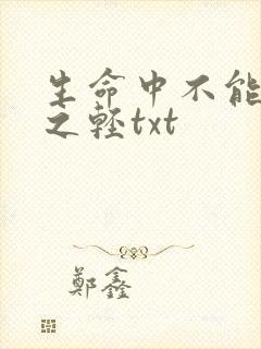 生命中不能承受之轻txt