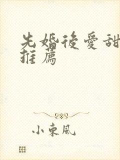 先婚后爱甜宠文推荐