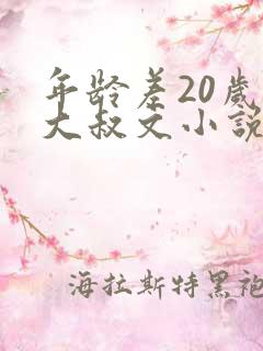 年龄差20岁的大叔文小说