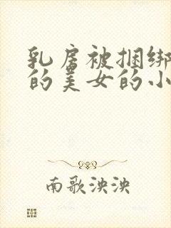 乳房被捆绑调教的美女的小说