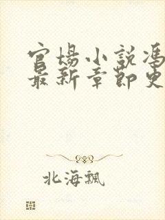 官场小说冯天明最新章节更新