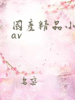 国产精品小美女av