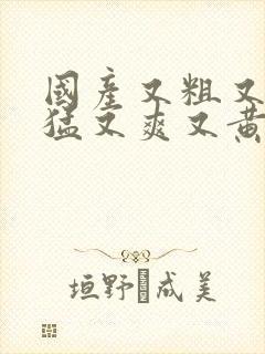 国产又粗又深又猛又爽又黄视频