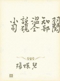 小说温知羽和霍司砚全部阅读