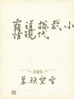 霸道总裁小说言情现代