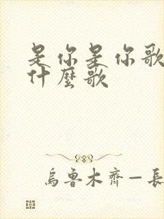 是你是你歌词是什么歌