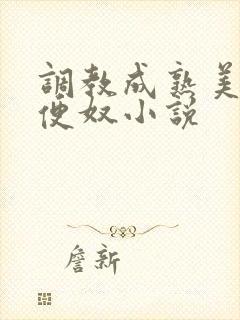 调教成熟美妇肉便奴小说