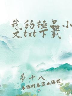 我的极品小姨全文txt下载