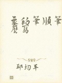 象的笔顺笔画怎么写