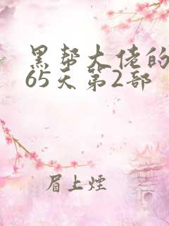 黑帮大佬的第365天第2部